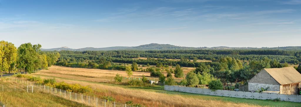 Jurajska Stokrotka Kotowice Экстерьер фото